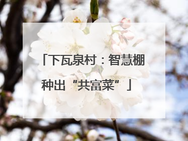 下瓦泉村：智慧棚种出“共富菜”