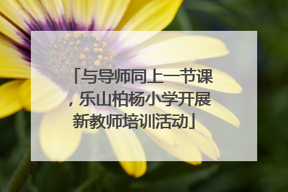 与导师同上一节课，乐山柏杨小学开展新教师培训活动