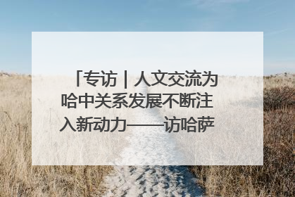 专访｜人文交流为哈中关系发展不断注入新动力——访哈萨克斯坦文化与信息部部长巴拉耶娃