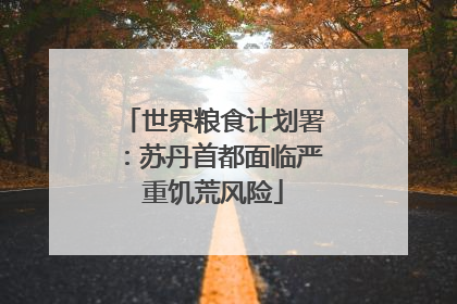 世界粮食计划署：苏丹首都面临严重饥荒风险