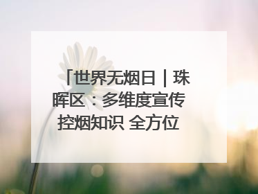 世界无烟日｜珠晖区：多维度宣传控烟知识 全方位共筑健康防线