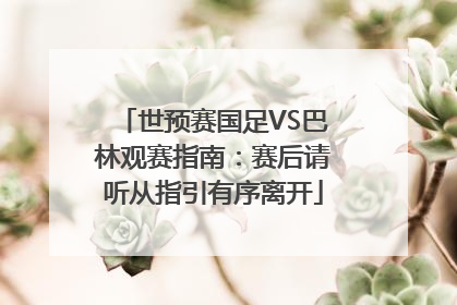 世预赛国足VS巴林观赛指南：赛后请听从指引有序离开