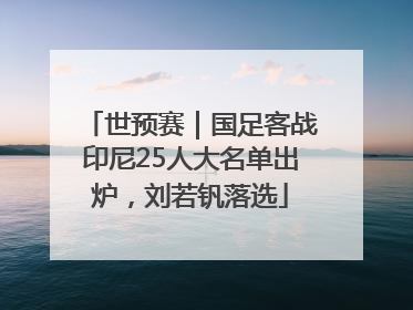世预赛｜国足客战印尼25人大名单出炉，刘若钒落选