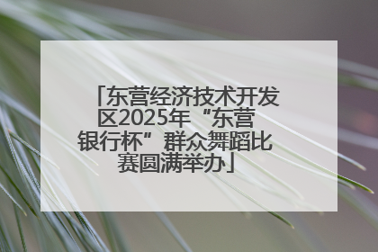 东营经济技术开发区2025年“东营银行杯”群众舞蹈比赛圆满举办