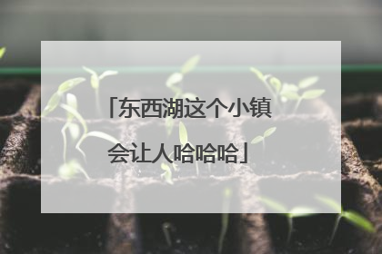 东西湖这个小镇会让人哈哈哈