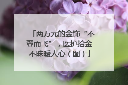 两万元的金饰“不翼而飞”，医护拾金不昧暖人心（图）