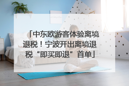 中东欧游客体验离境退税！宁波开出离境退税“即买即退”首单