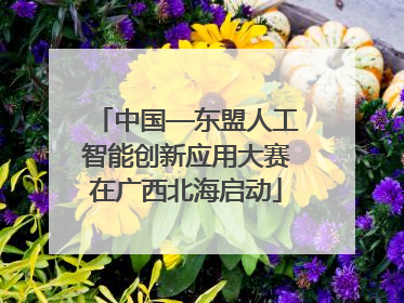 中国—东盟人工智能创新应用大赛在广西北海启动