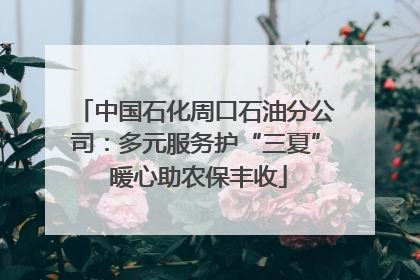 中国石化周口石油分公司：多元服务护“三夏” 暖心助农保丰收