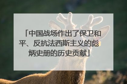 中国战场作出了保卫和平、反抗法西斯主义的彪炳史册的历史贡献