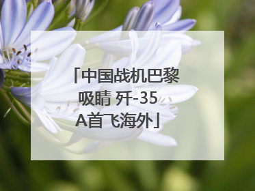中国战机巴黎吸睛 歼-35A首飞海外