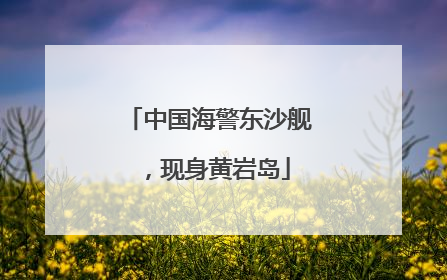 中国海警东沙舰，现身黄岩岛