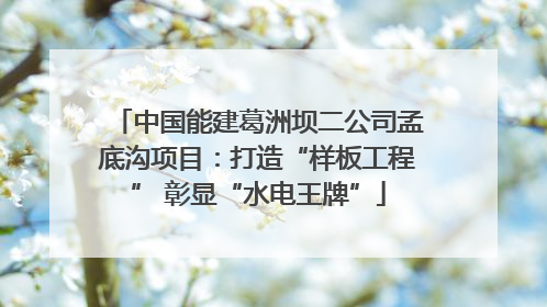 中国能建葛洲坝二公司孟底沟项目：打造“样板工程” 彰显“水电王牌”