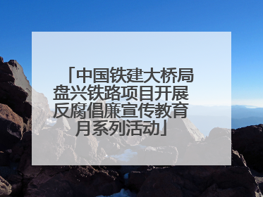中国铁建大桥局盘兴铁路项目开展反腐倡廉宣传教育月系列活动