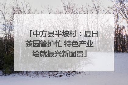 中方县半坡村：夏日茶园管护忙 特色产业绘就振兴新图景