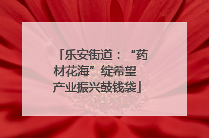 乐安街道：“药材花海”绽希望 产业振兴鼓钱袋