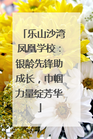 乐山沙湾凤凰学校：银龄先锋助成长，巾帼力量绽芳华