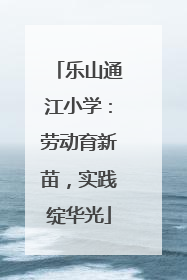 乐山通江小学：劳动育新苗，实践绽华光