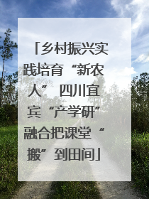 乡村振兴实践培育“新农人” 四川宜宾“产学研”融合把课堂“搬”到田间