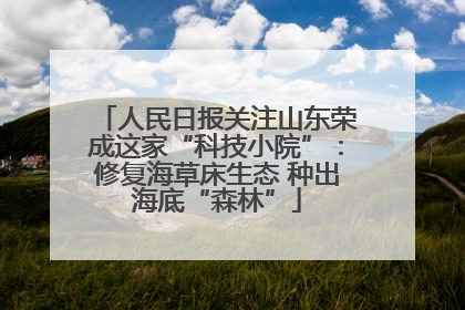 人民日报关注山东荣成这家“科技小院”：修复海草床生态 种出海底“森林”