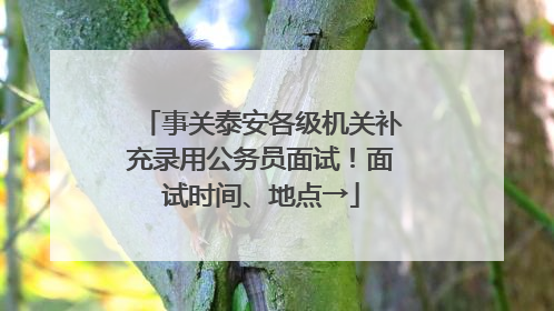 事关泰安各级机关补充录用公务员面试！面试时间、地点→