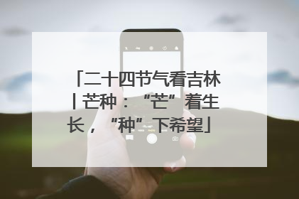 二十四节气看吉林丨芒种：“芒”着生长，“种”下希望
