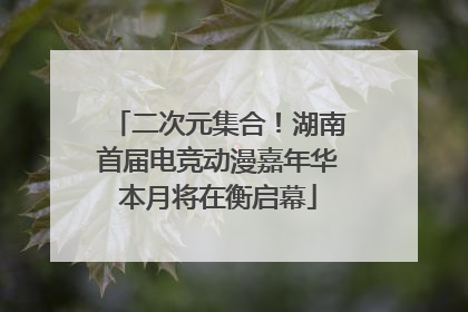 二次元集合！湖南首届电竞动漫嘉年华本月将在衡启幕