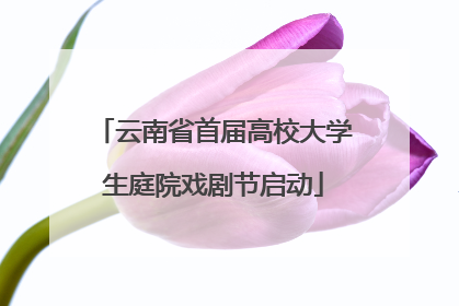 云南省首届高校大学生庭院戏剧节启动