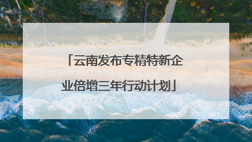 云南发布专精特新企业倍增三年行动计划