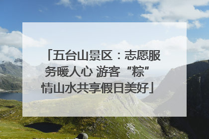 五台山景区：志愿服务暖人心 游客“粽”情山水共享假日美好