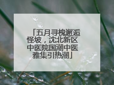 五月寻槐邂逅怪坡，沈北新区中医院国潮中医雅集引热潮