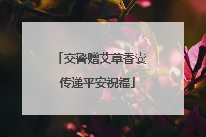 交警赠艾草香囊 传递平安祝福