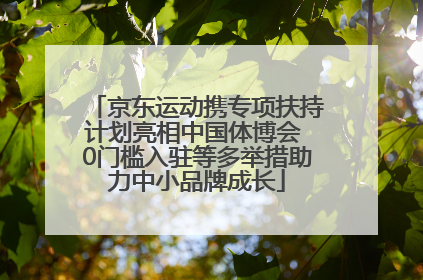 京东运动携专项扶持计划亮相中国体博会 0门槛入驻等多举措助力中小品牌成长