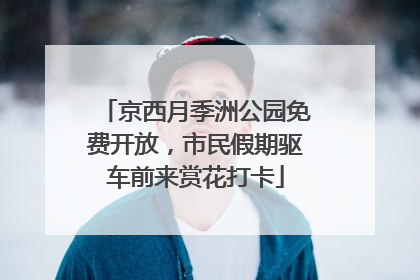 京西月季洲公园免费开放，市民假期驱车前来赏花打卡