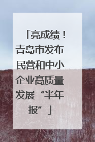 亮成绩！青岛市发布民营和中小企业高质量发展“半年报”