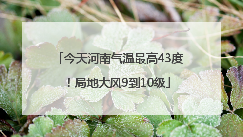 今天河南气温最高43度！局地大风9到10级