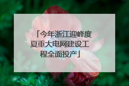 今年浙江迎峰度夏重大电网建设工程全面投产