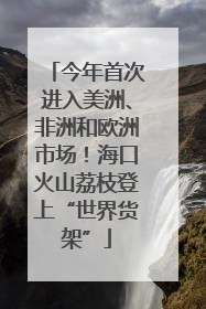 今年首次进入美洲、非洲和欧洲市场！海口火山荔枝登上“世界货架”