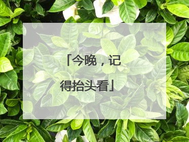 今晚，记得抬头看
