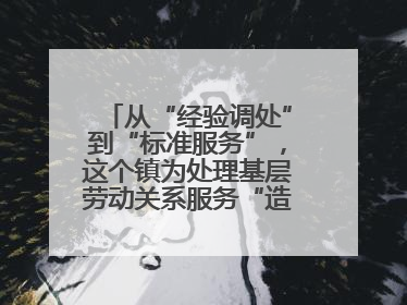从“经验调处”到“标准服务”，这个镇为处理基层劳动关系服务“造标尺”