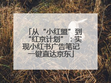 从“小红盟”到“红京计划”：实现小红书广告笔记一键直达京东