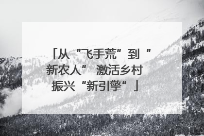 从“飞手荒”到“新农人” 激活乡村振兴“新引擎”