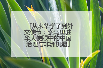 从来华学子到外交使节：索马里驻华大使眼中的中国治理与非洲机遇