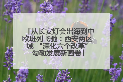 从长安灯会出海到中欧班列飞驰：西安两区域 “深化六个改革” 勾勒发展新画卷