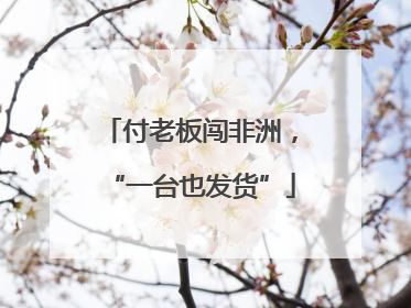 付老板闯非洲，“一台也发货”
