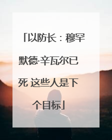以防长：穆罕默德·辛瓦尔已死 这些人是下个目标