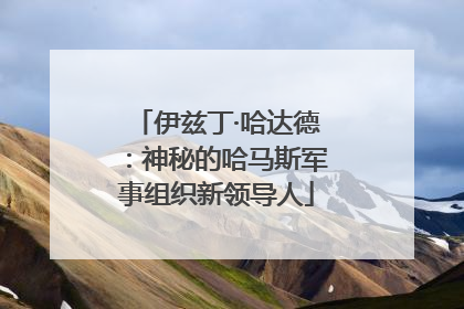 伊兹丁·哈达德：神秘的哈马斯军事组织新领导人