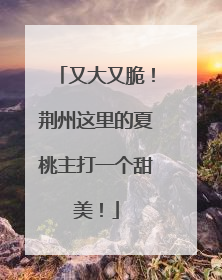 又大又脆！荆州这里的夏桃主打一个甜美！