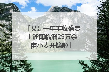 又是一年丰收盛景！淄博临淄29万余亩小麦开镰啦