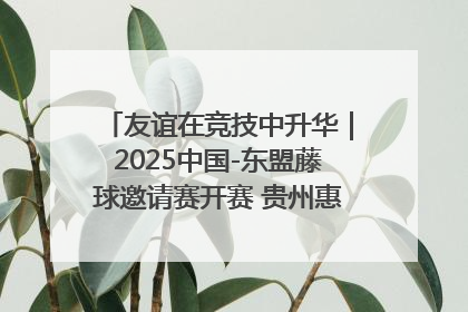 友谊在竞技中升华｜2025中国-东盟藤球邀请赛开赛 贵州惠水燃动“空中芭蕾”